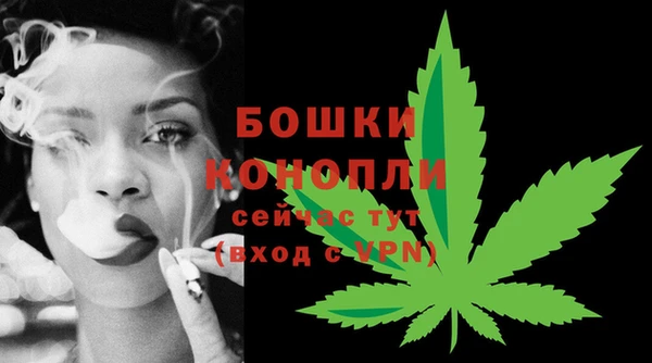 ГАЛЛЮЦИНОГЕННЫЕ ГРИБЫ Протвино