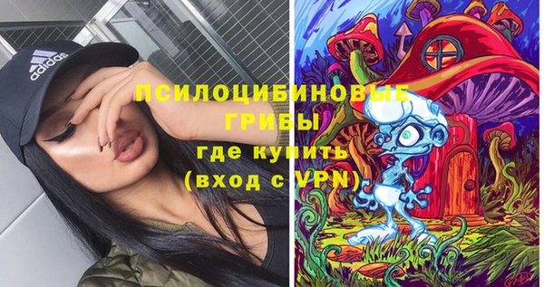 spice Абаза